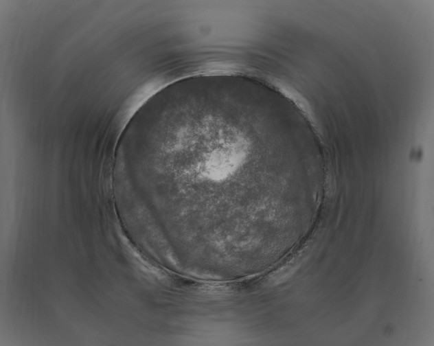 X0000090471473200708031253