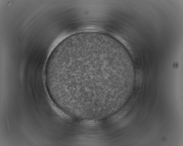 X0000090471474200708031253