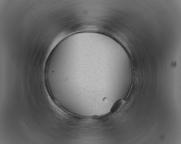 X0000090471475200708031253