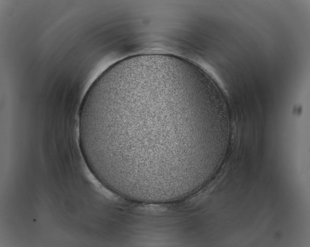 X0000090471476200708031253