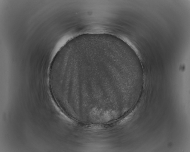 X0000090471477200708031253