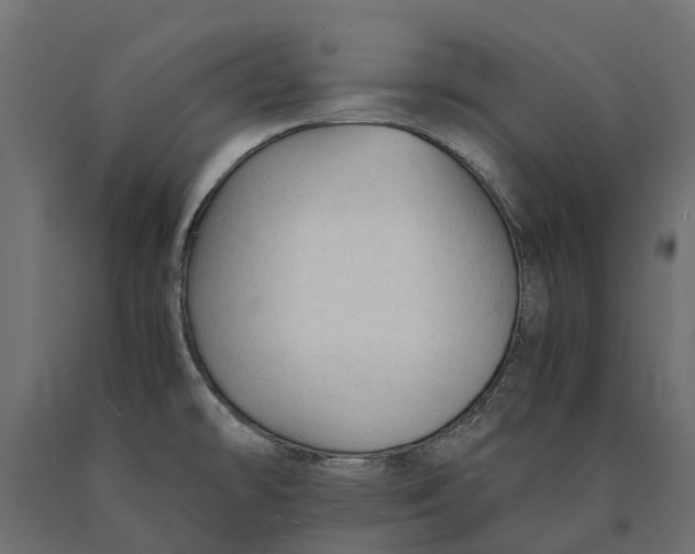 X0000090471478200708031253