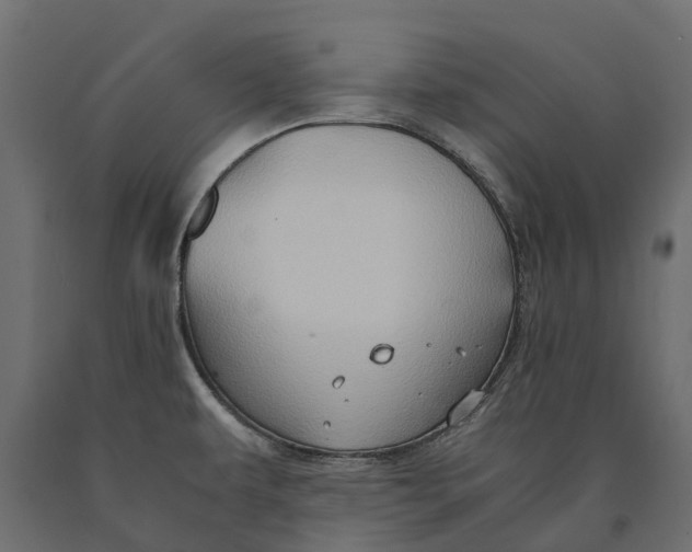 X0000090471479200708031253