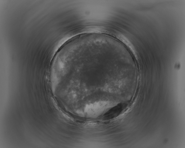 X0000090471481200708031253