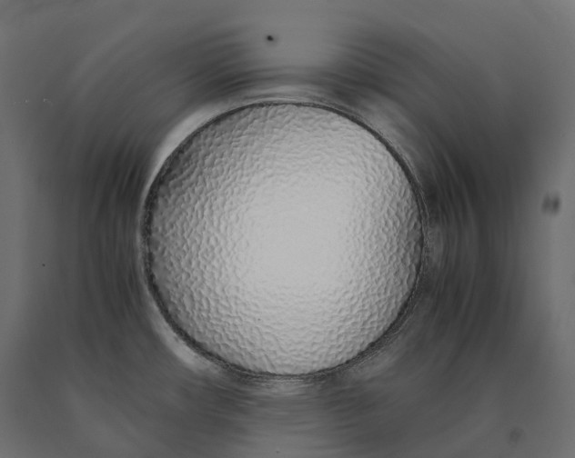 X0000090471482200708031253