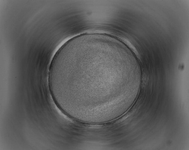 X0000090471484200708031253