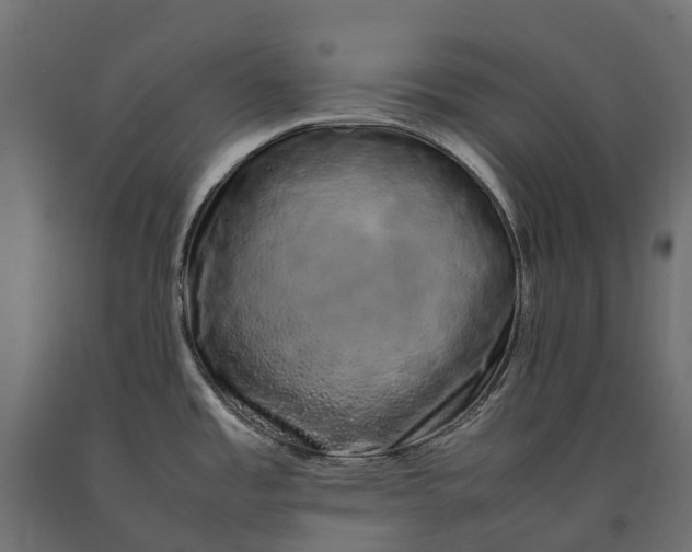 X0000090471485200708031253