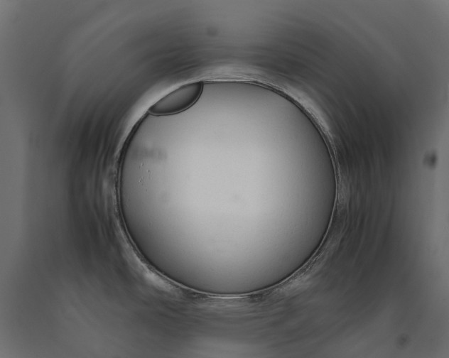 X0000090471486200708031253