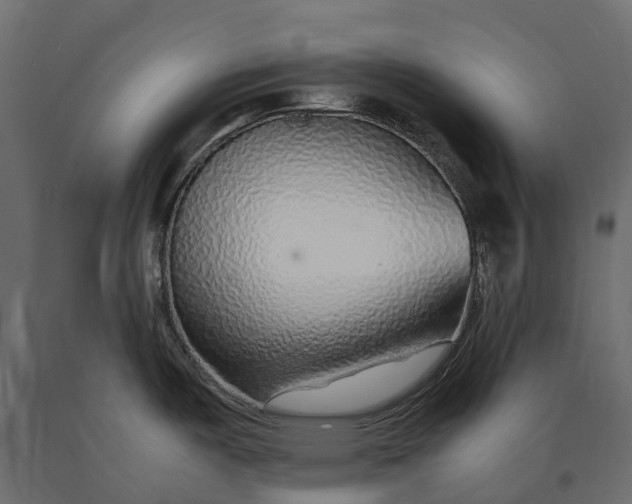 X0000090471487200708031253