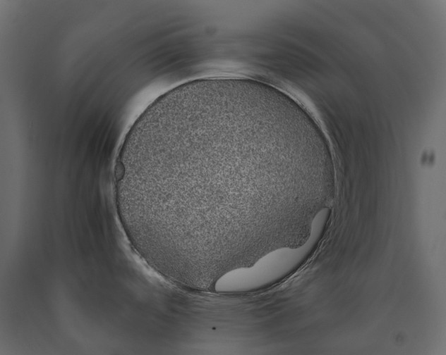 X0000090471488200708031253