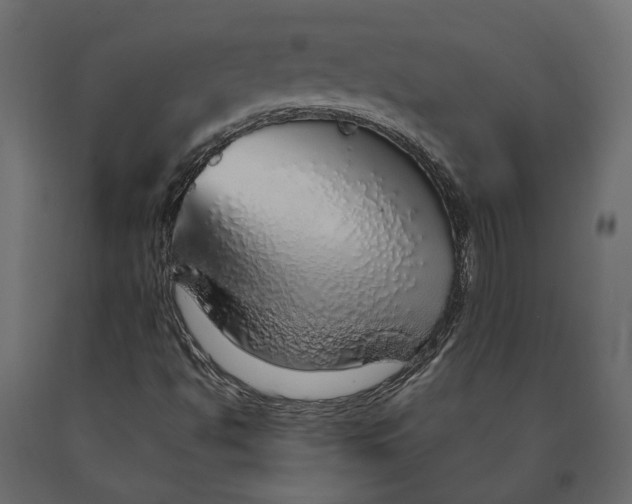 X0000090471494200708031252