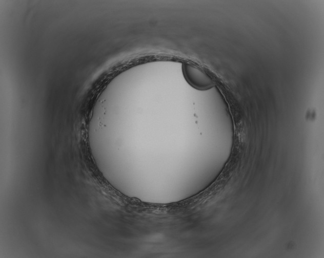 X0000090471495200708031252