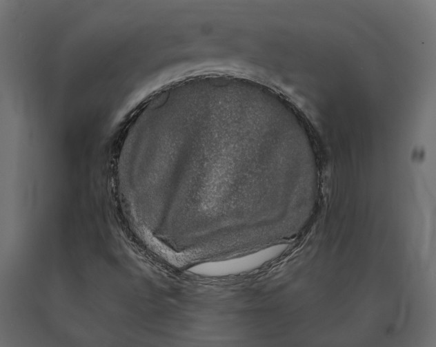 X0000090471496200708031252