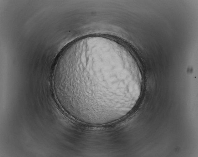 X0000090471497200708031252