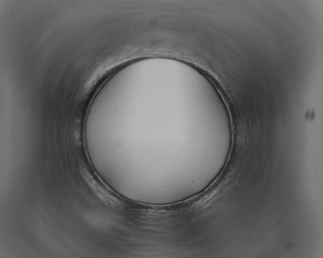 X0000090471499200708031252