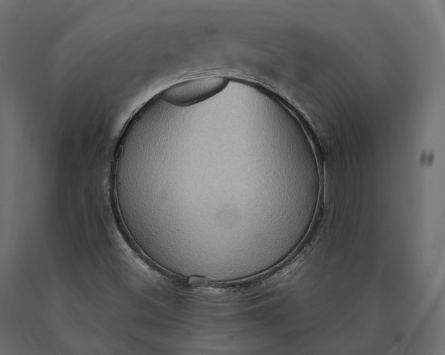 X0000090471500200708031252