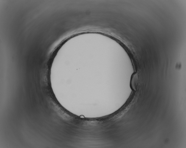 X0000090471502200708031252