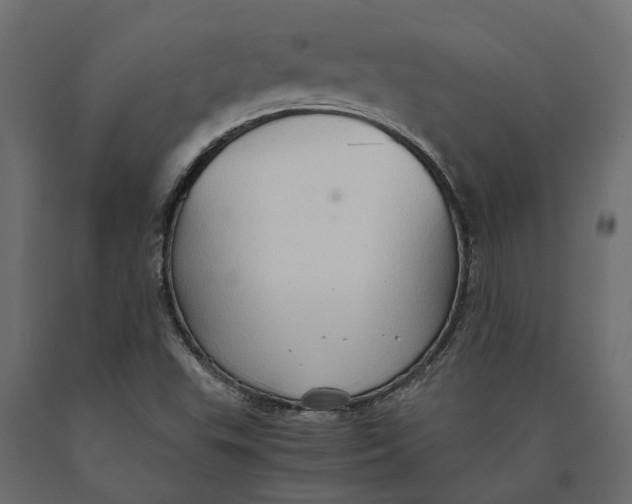 X0000090471503200708031252