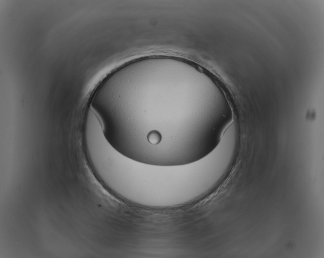 X0000090471504200708031252