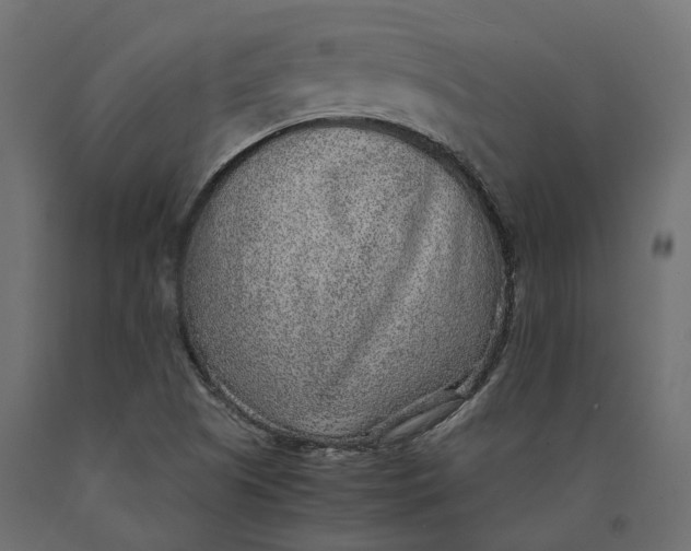 X0000090471505200708031252