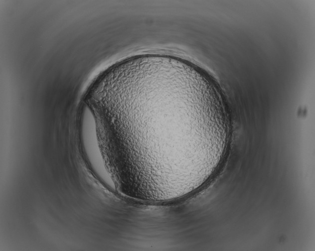 X0000090471506200708031252