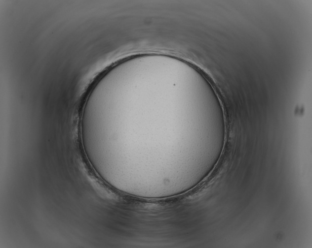 X0000090471507200708031252