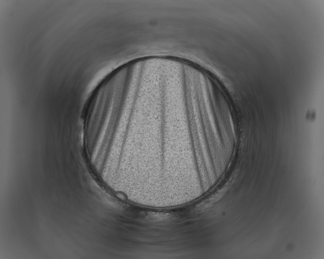 X0000090471509200708031252