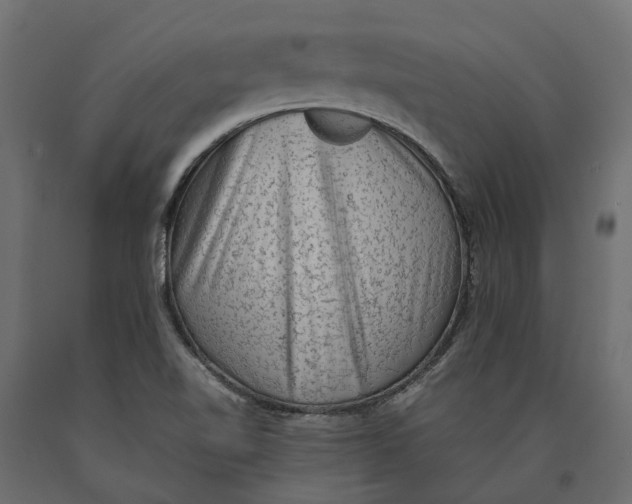 X0000090471510200708031252