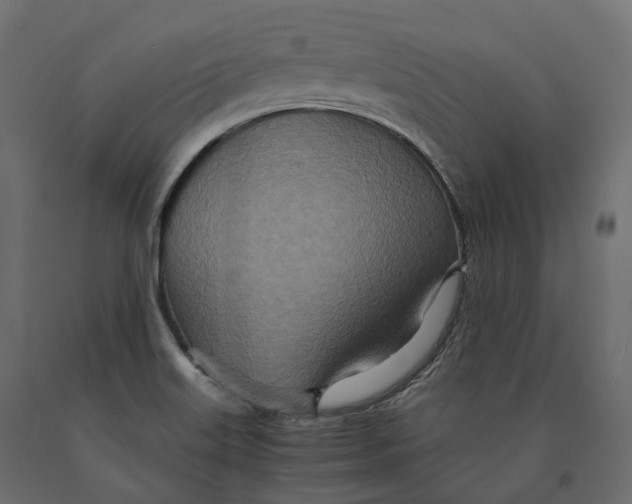 X0000090471515200708031252