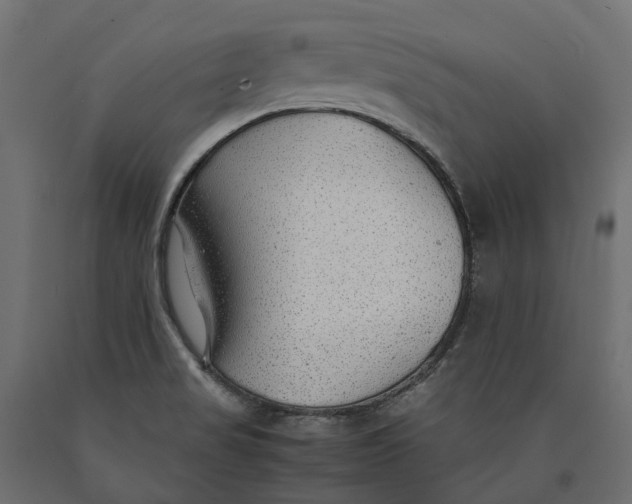 X0000090471517200708031252