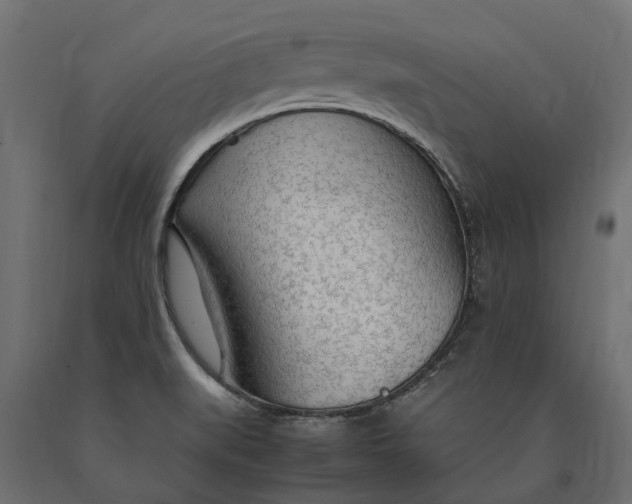 X0000090471519200708031252