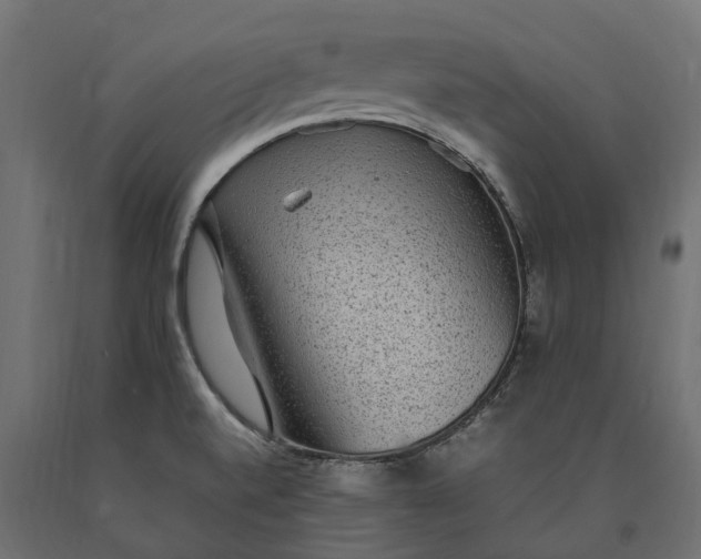 X0000090471520200708031253