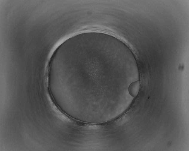 X0000090471522200708031253