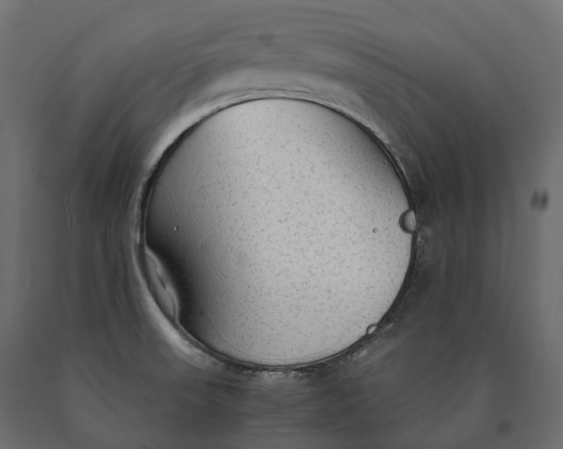 X0000090471523200708031253