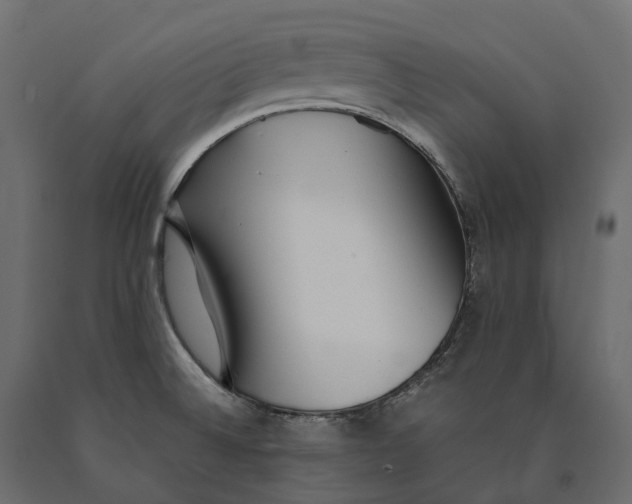 X0000090471524200708031253