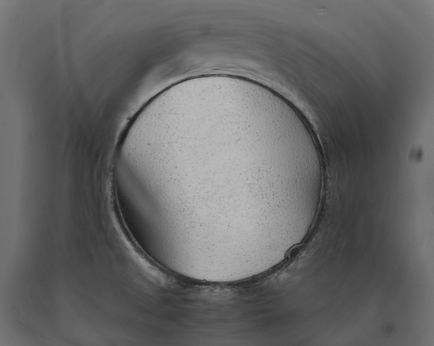 X0000090471525200708031253