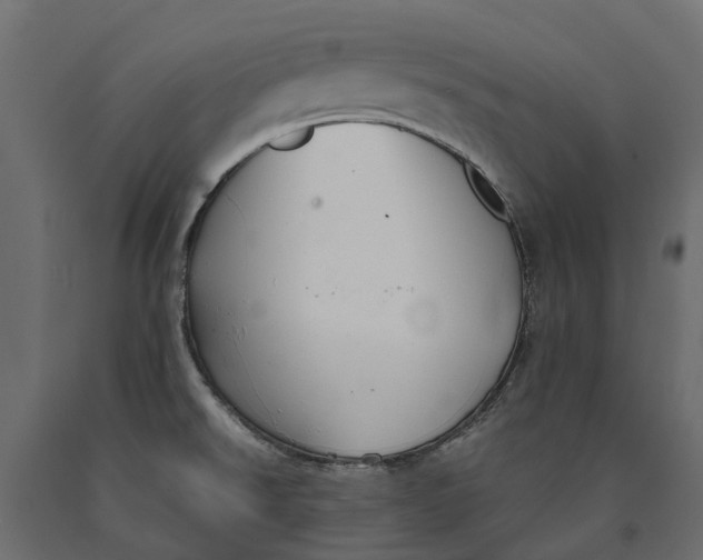 X0000090471526200708031253