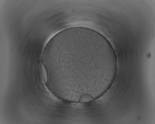 X0000090471529200708031253