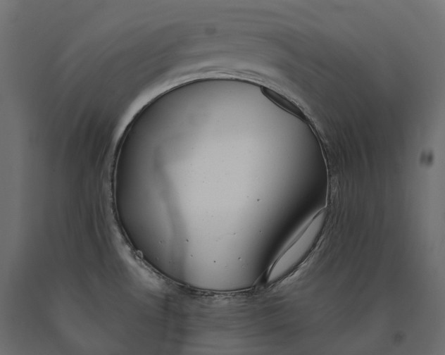 X0000090471530200708031253