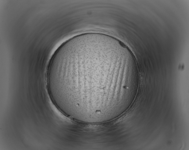 X0000090471531200708031253