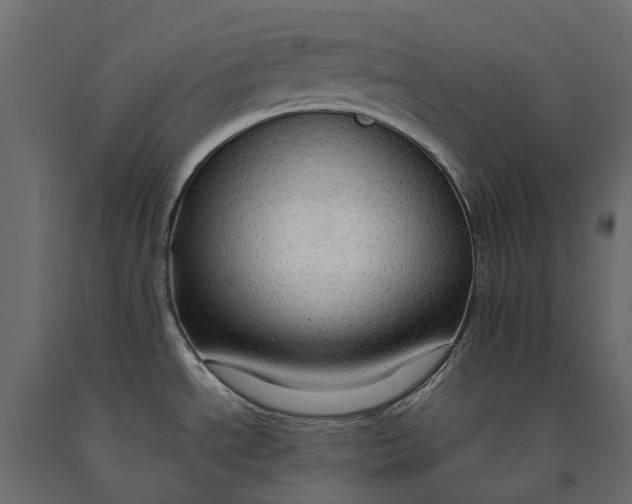 X0000090471534200708031253