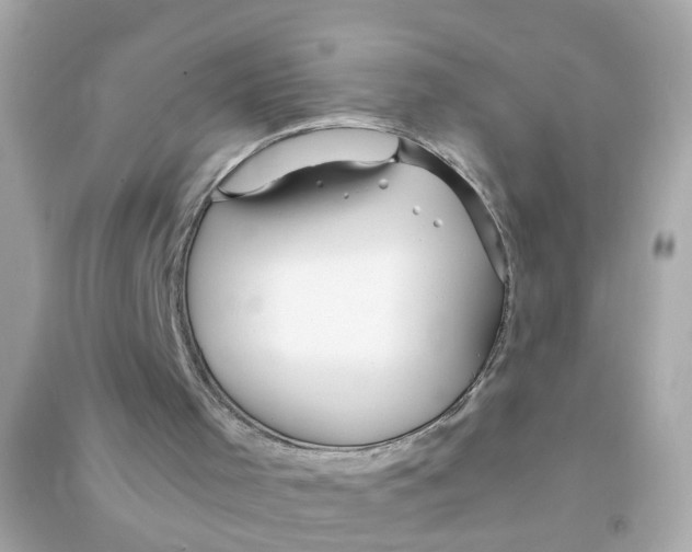 X0000090470001200708102144