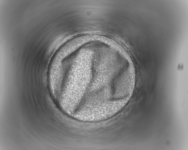 X0000090470002200708102144