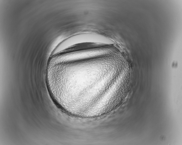 X0000090470003200708102144