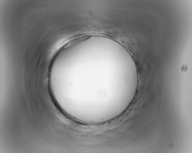 X0000090470005200708102144