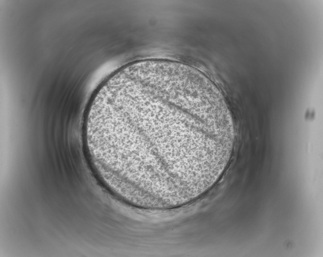 X0000090470006200708102144