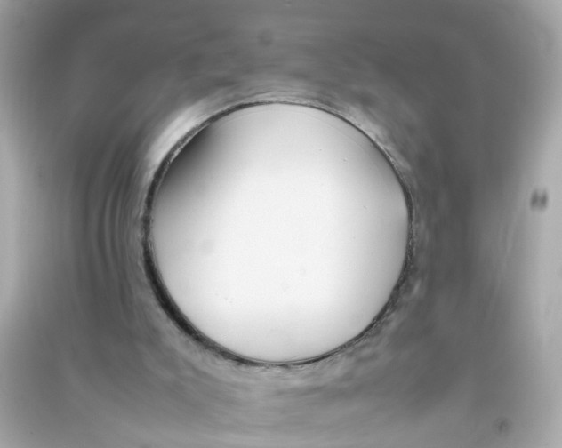 X0000090470007200708102144