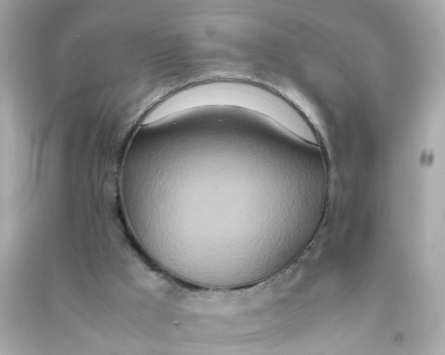 X0000090470009200708102144