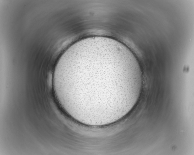 X0000090470014200708102143