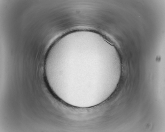 X0000090470015200708102143